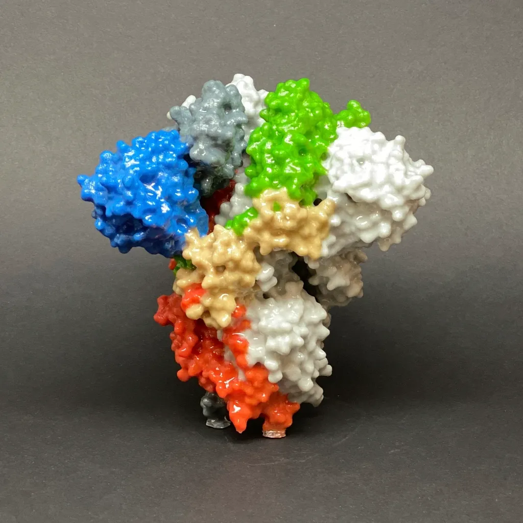 Modelo científico colorido impresso em 3D com várias cores